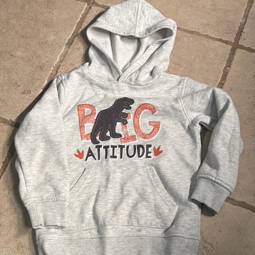 Gray Dinosaur Hoodie for Kids